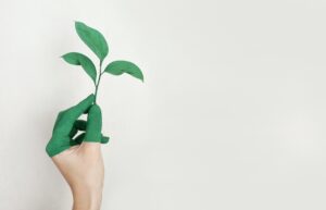 Green Technology Green Technology